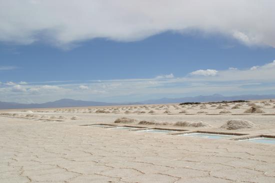 Argentine  Région de Salta