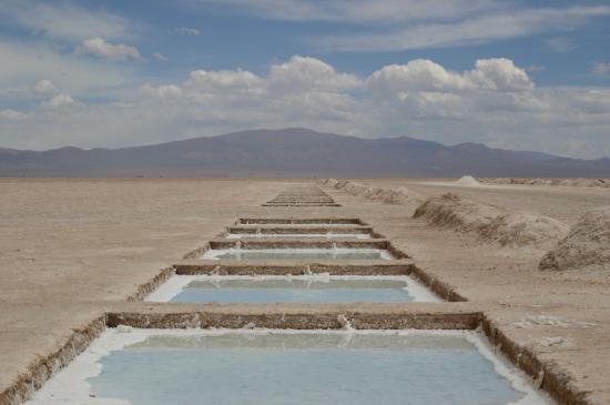 Argentine  Région de Salta