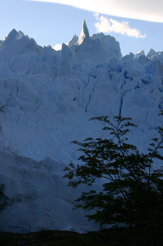 Argentine Perito Moreno