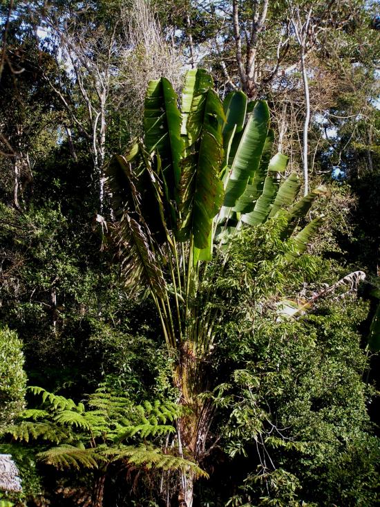 Madagascar Antsirabe