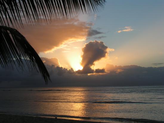 Madagascar l'Ile aux Nattes