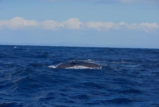 Madagascar Sainte-Marie