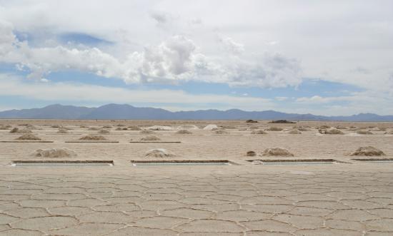 Argentine  Région de Salta