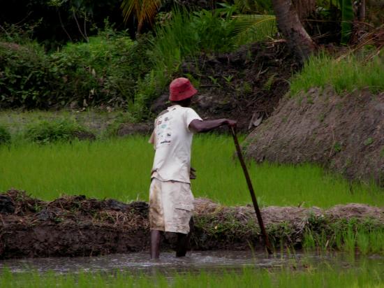 Madagascar Les Malgaches