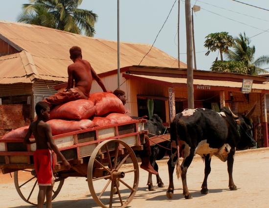 Madagascar  La vie Malgache