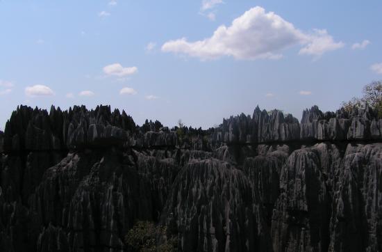 Madagascar Morondava et sa région