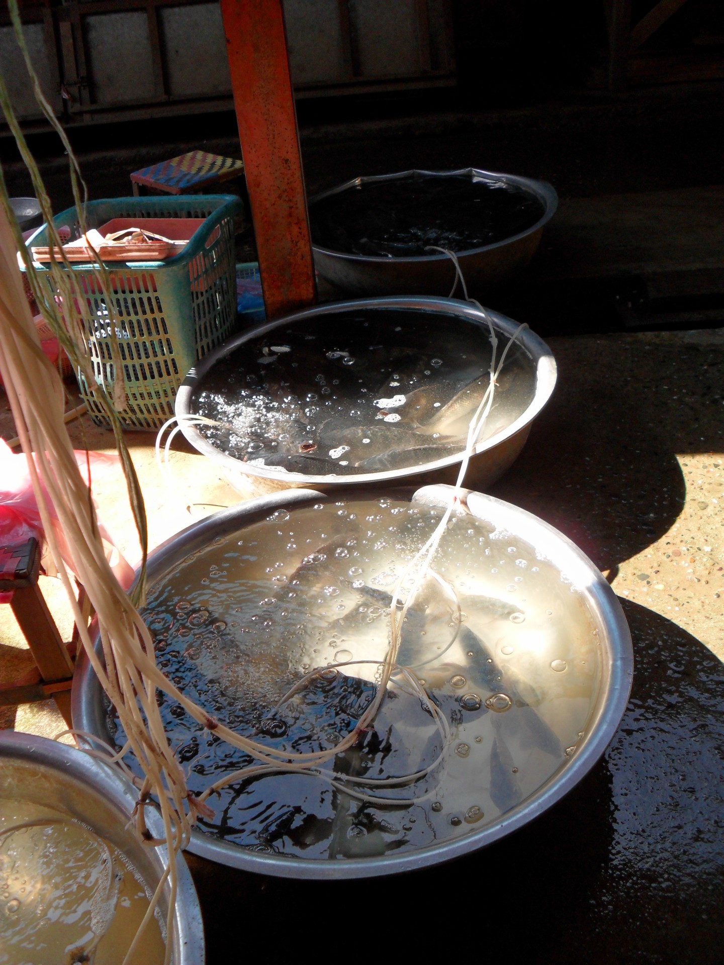 marché laos