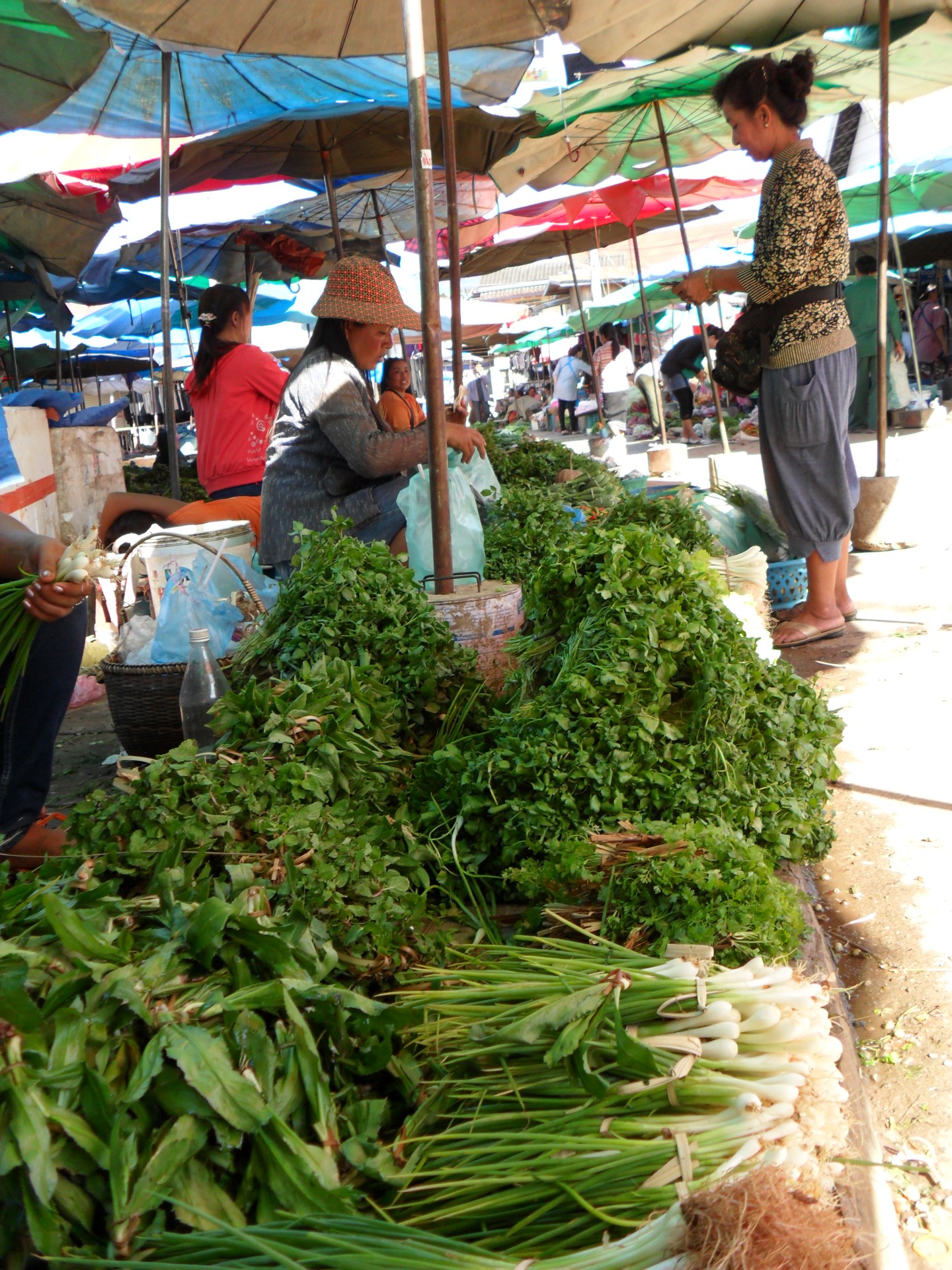 Laos